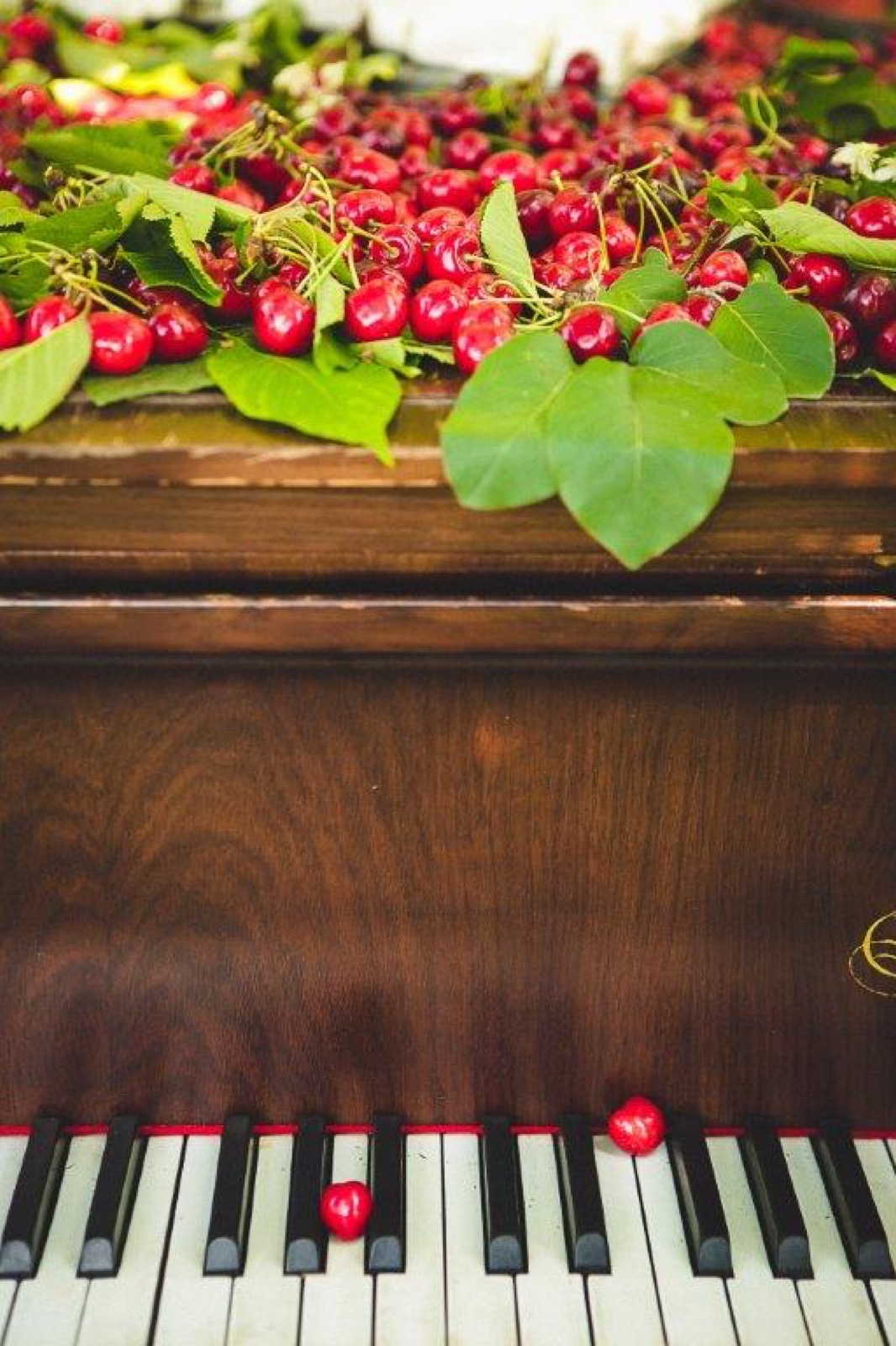 Magacin pre pripreme