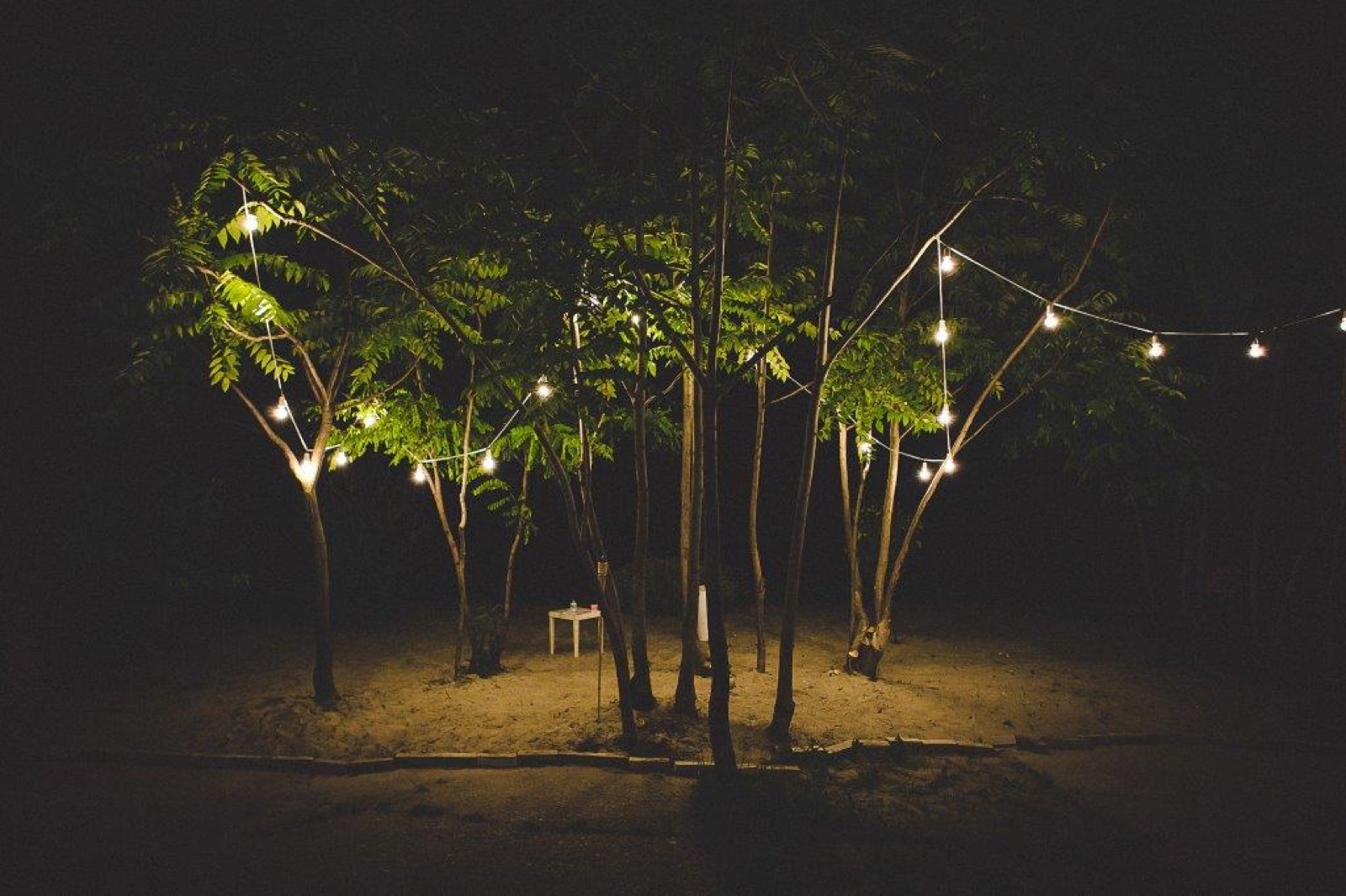 Finalna fotografija sa venčanja