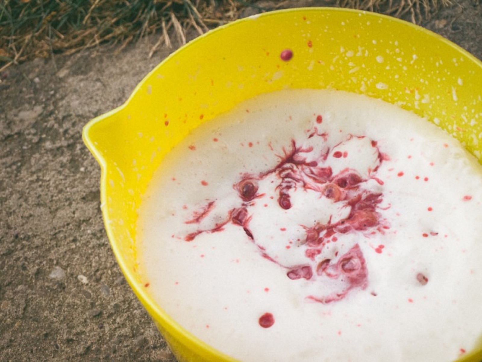 Blender i sastojci za voćni sladoled