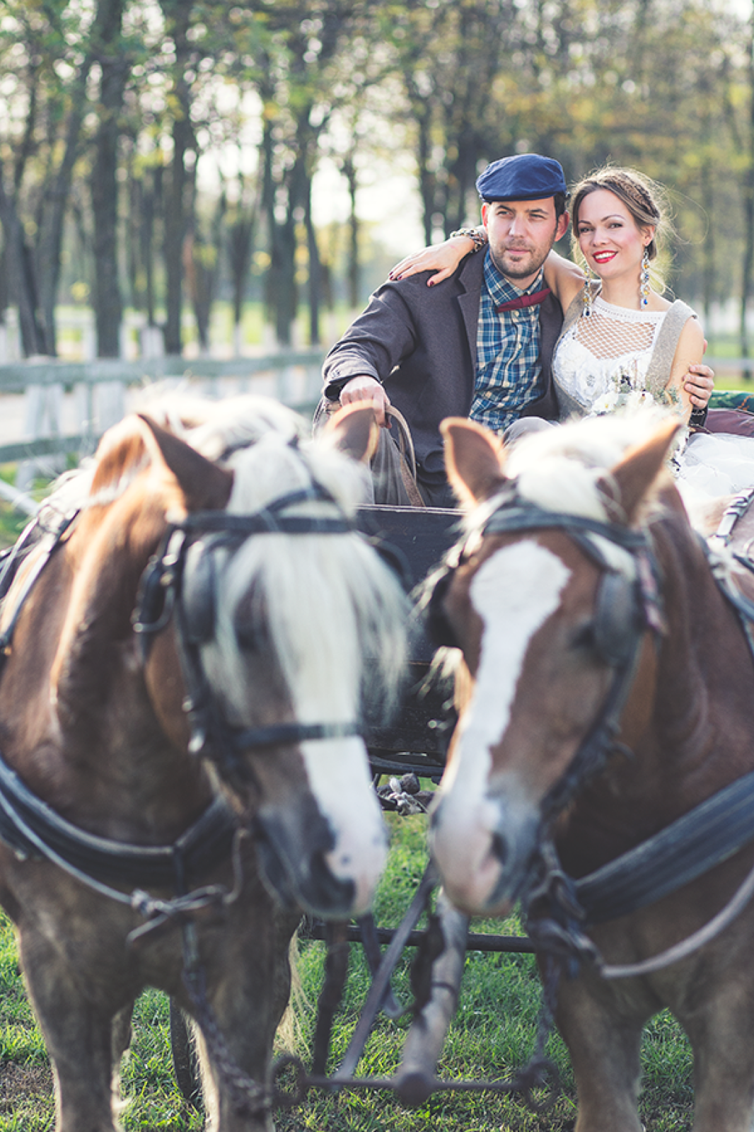Kočija na salaškom putu — jesenje sunce