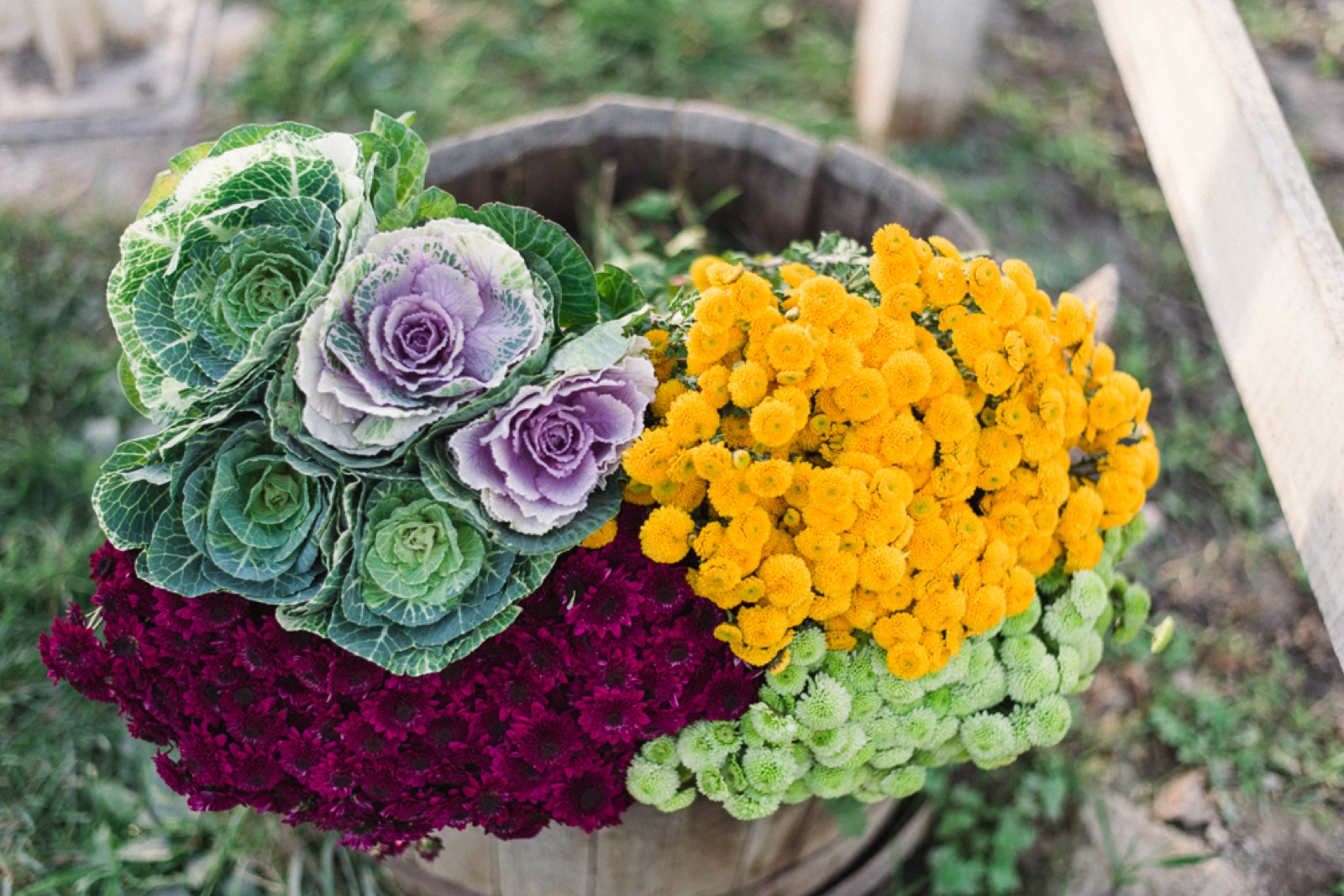 Zagrljaj mladenaca u jesenjoj svetlosti