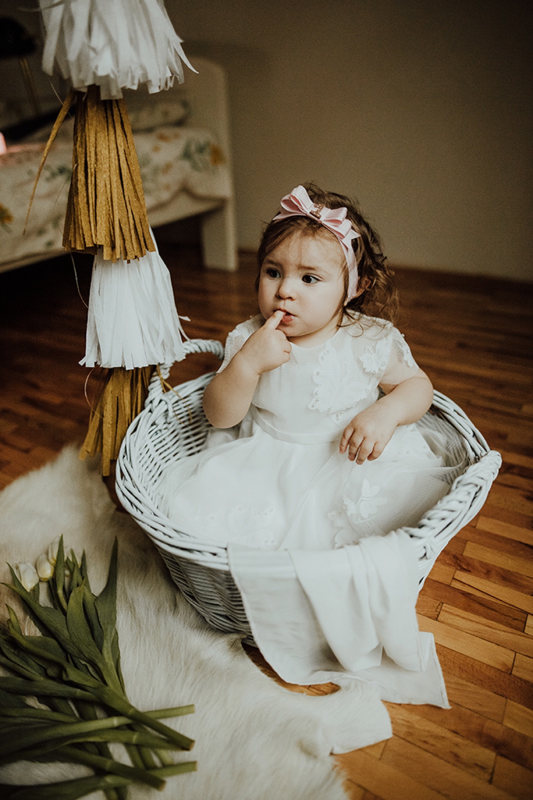 Senja — portret iz bliza