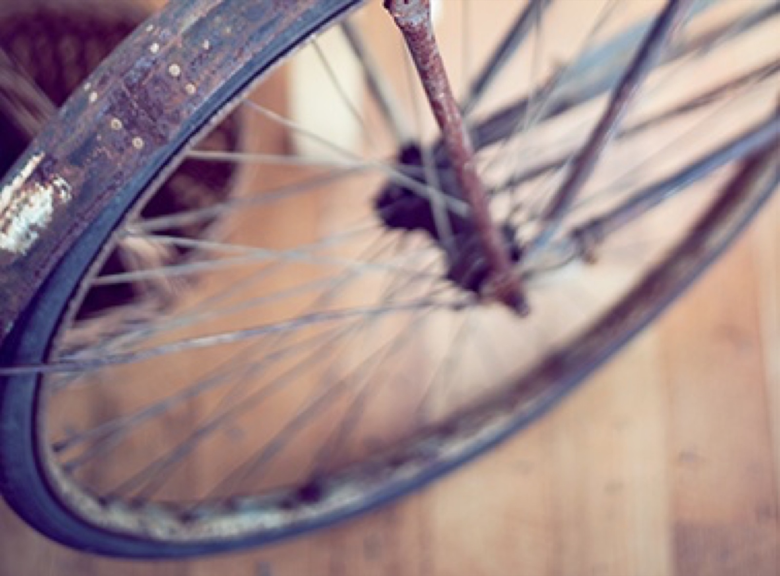 Stare porodične fotografije