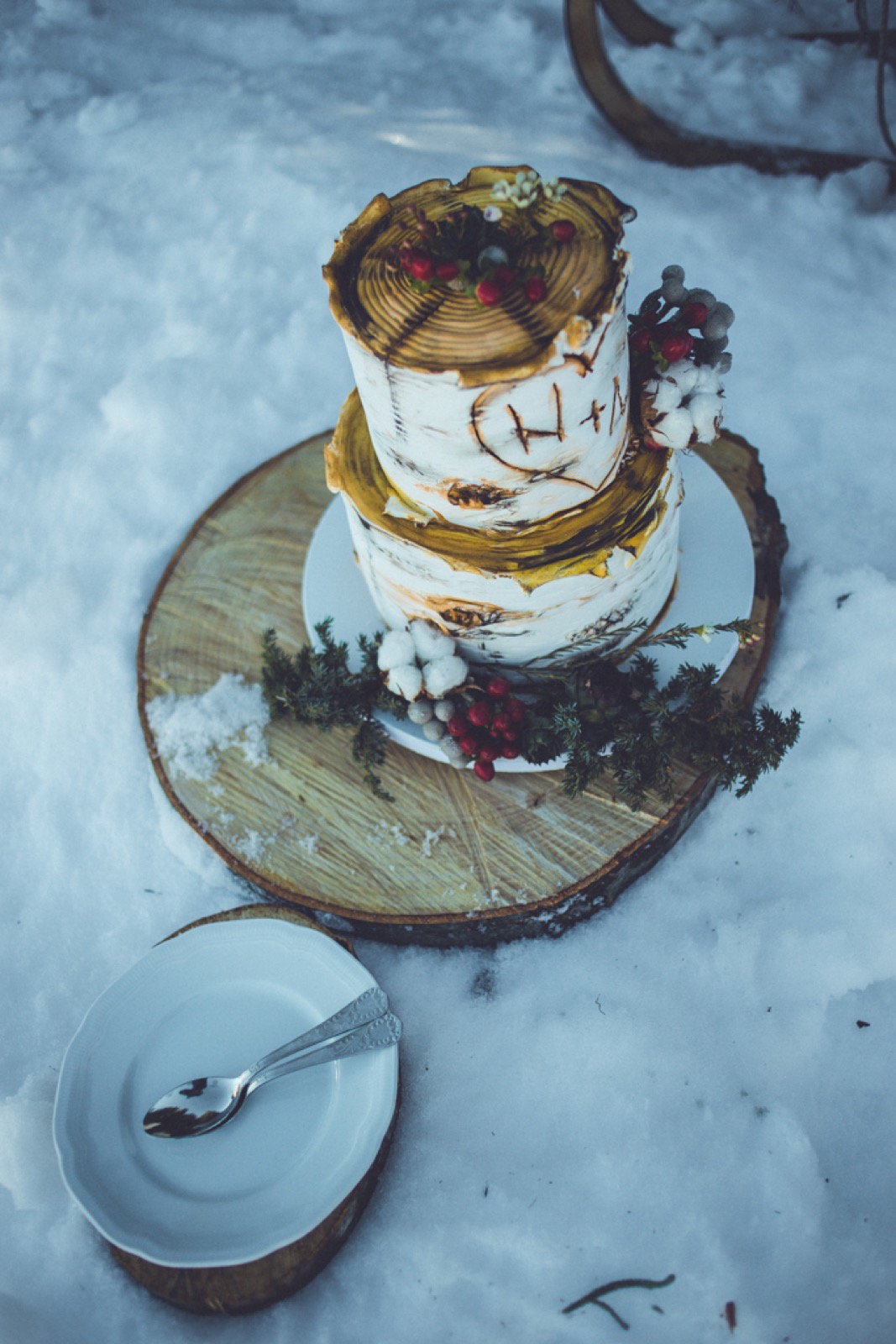 Torta u obliku breze na drvenom panju u snegu