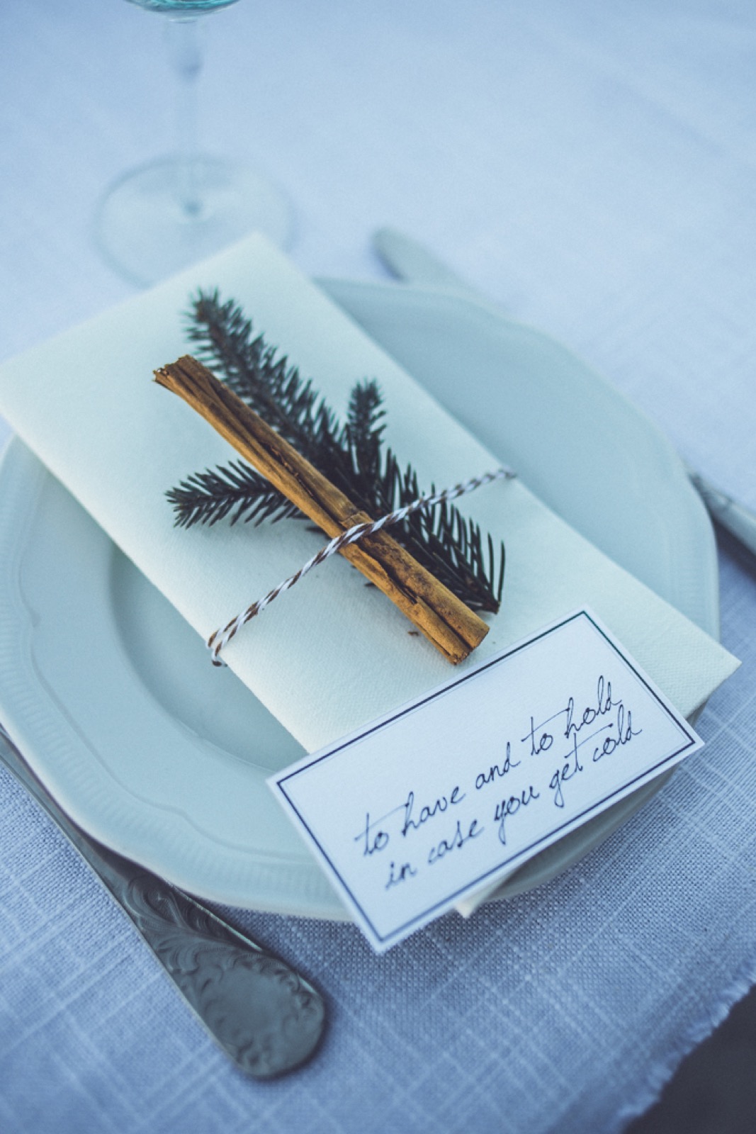 Detalj zimske dekoracije sa borovima