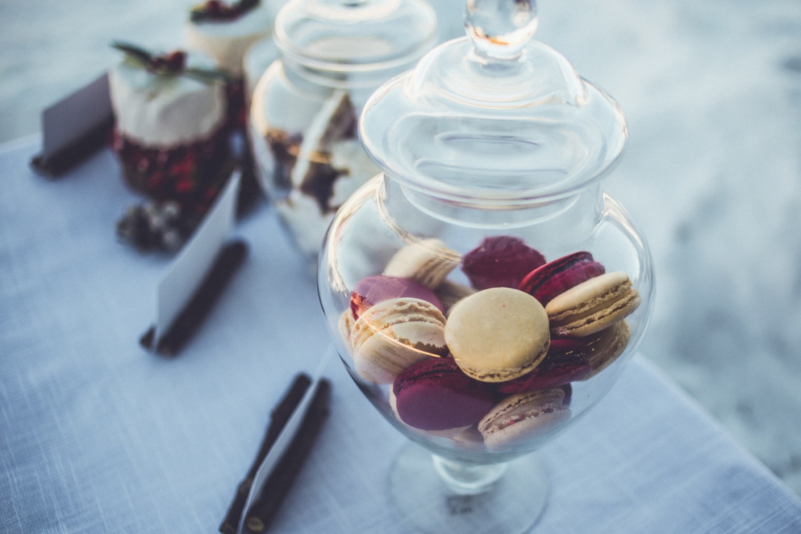 Detalj venčane dekoracije sa borovima i svetlima