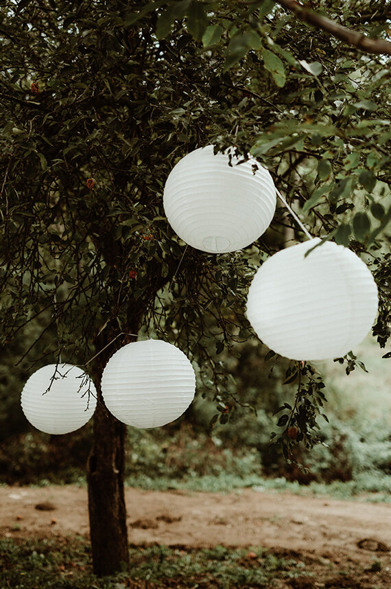 Suncokret dekoracija na selu