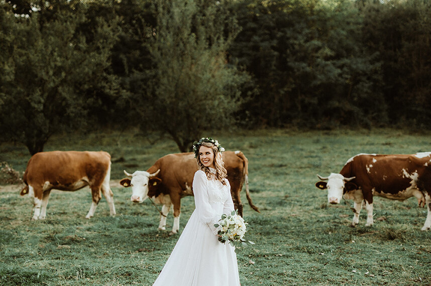 Par u polju pri zalasku sunca