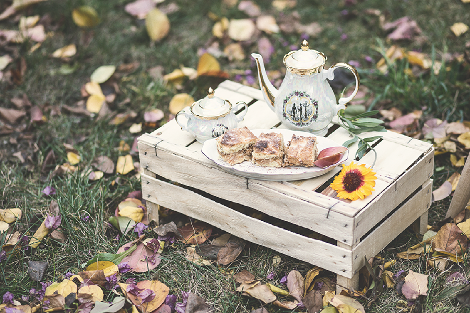 Porcelan iz babnog kredenca — uspomene