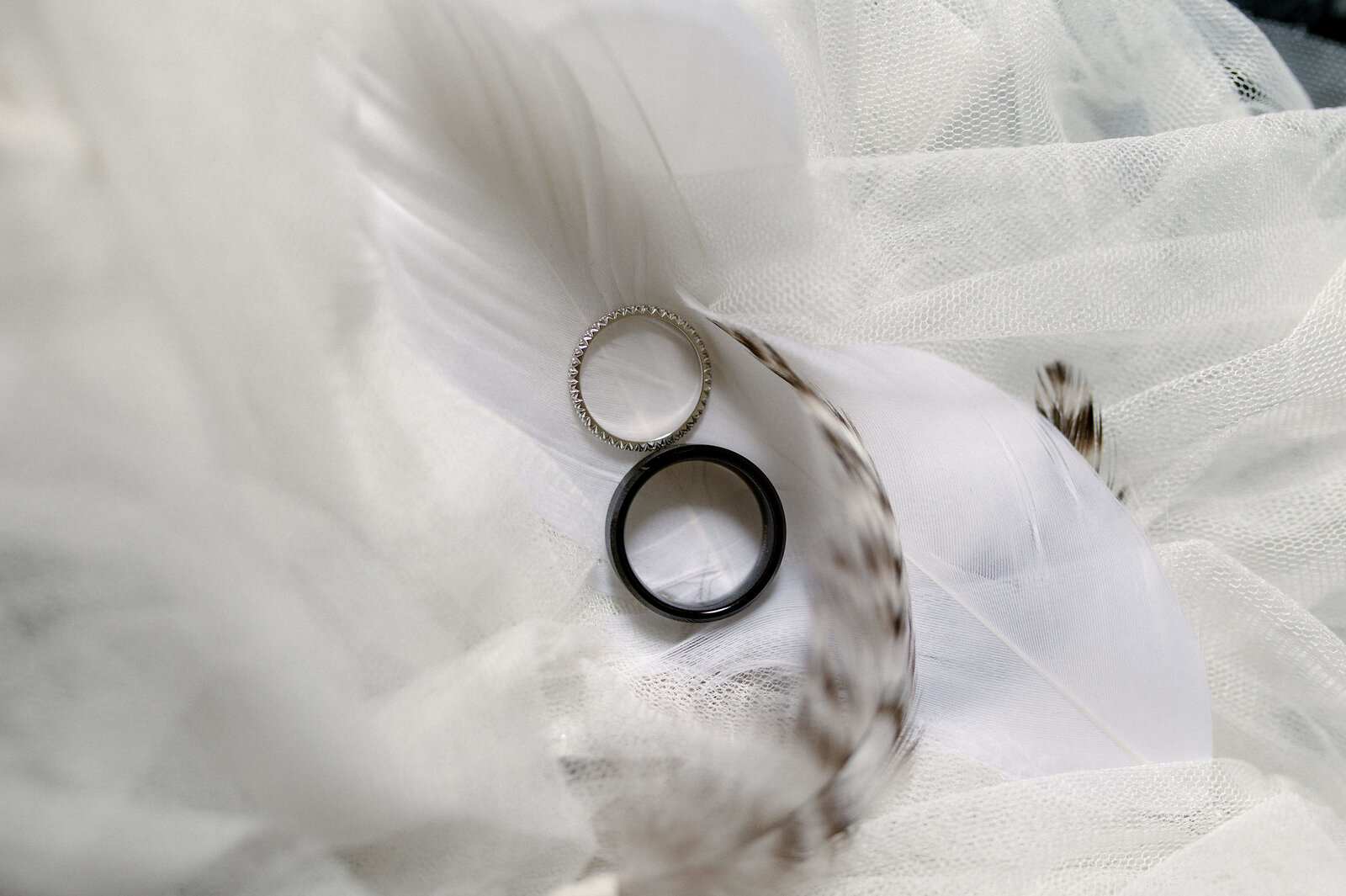 Goste na svečanoj večeri u prirodi