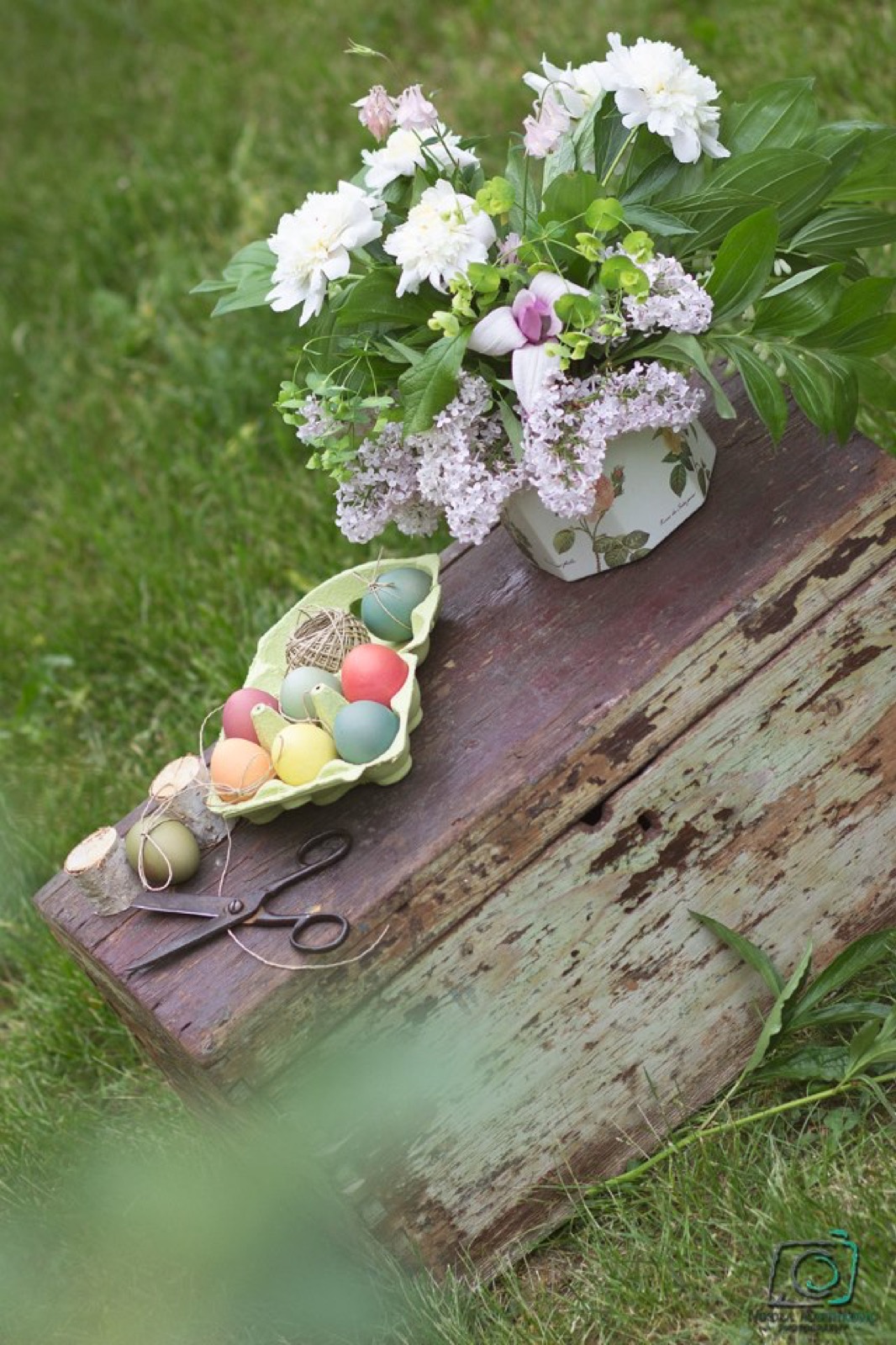 Nova snaga i novi život