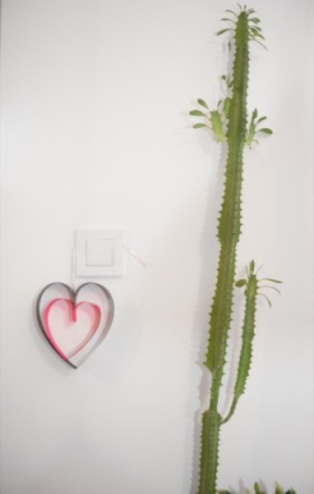 Gosti na žurki — osmesi i veselje, noćna atmosfera