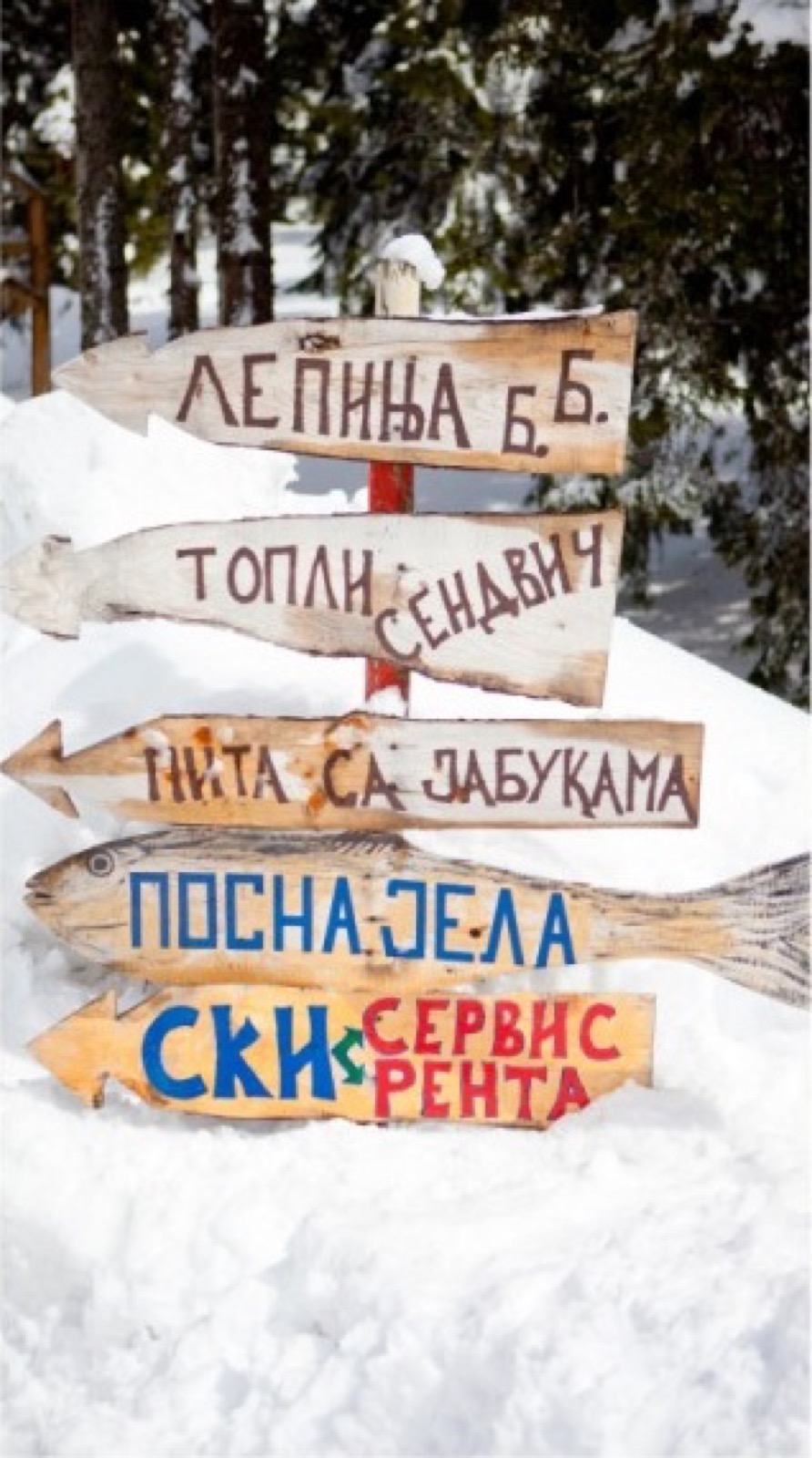 Zimski detalji