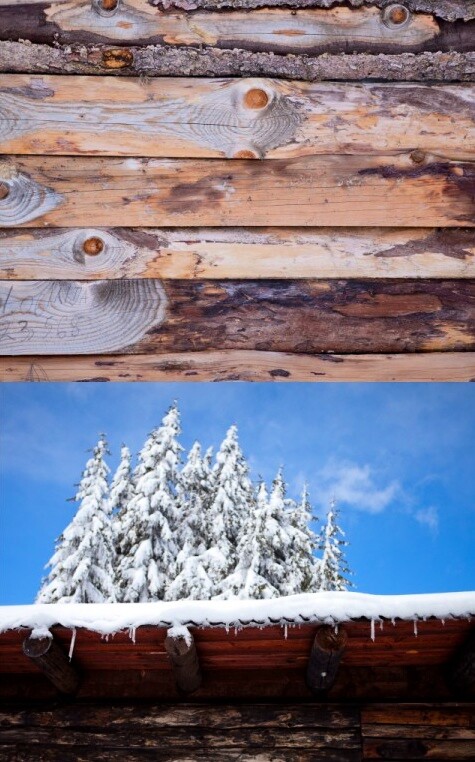 Porcelanska šoljica sa cvetnim motivom na snegu