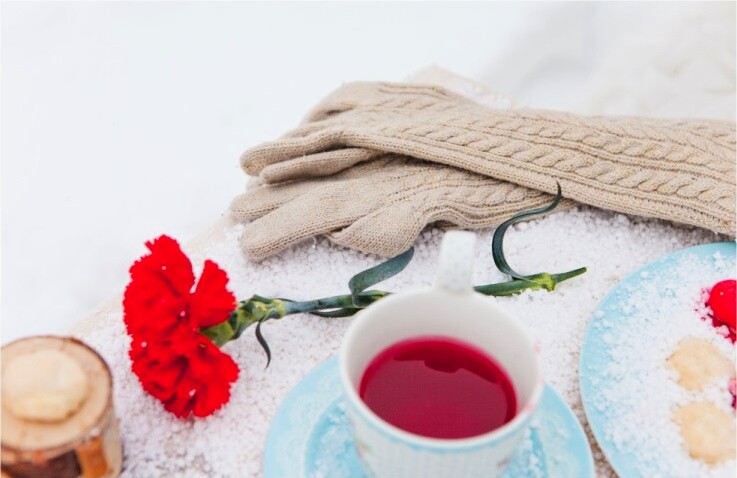 Detalji zimskog dekora